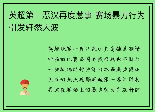 英超第一恶汉再度惹事 赛场暴力行为引发轩然大波